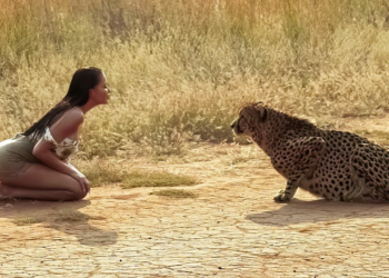 Animals Reunited With Owners After YEARS !