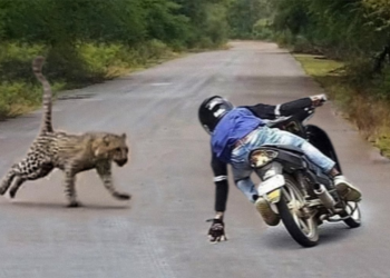 Luckiest People Ever Caught On Camera | Perfect Timing !